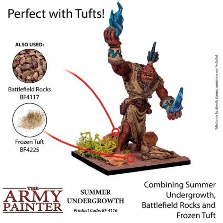 Summer Undergrowth | Jeux et Trolleries | Spécialiste des jeux de société, jeux de cartes et wargames