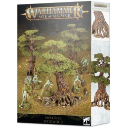 Awakened Wyldwood | Jeux et Trolleries | Spécialiste des jeux de société, jeux de cartes et wargames