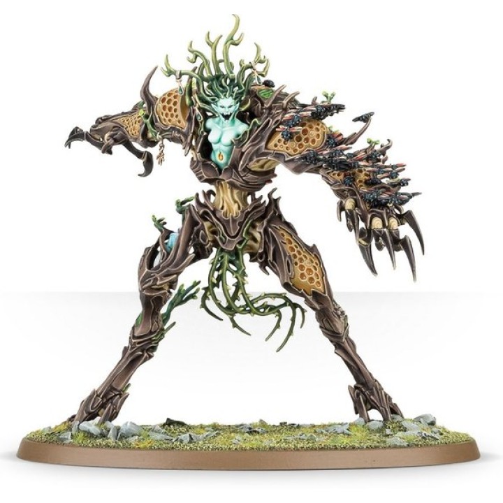 Sylvaneth Drycha Hamadreth | Jeux et Trolleries | Spécialiste des jeux de société, jeux de cartes et wargames