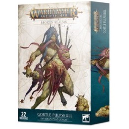 Broken realms Invidian Plaguehost | Jeux et Trolleries | Spécialiste des jeux de société, jeux de cartes et wargames