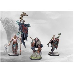 Nords - Tactical retinue | Jeux et Trolleries | Spécialiste des jeux de société, jeux de cartes et wargames