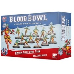 Bloodbowl - Amazon team | Jeux et Trolleries | Spécialiste des jeux de société, jeux de cartes et wargames