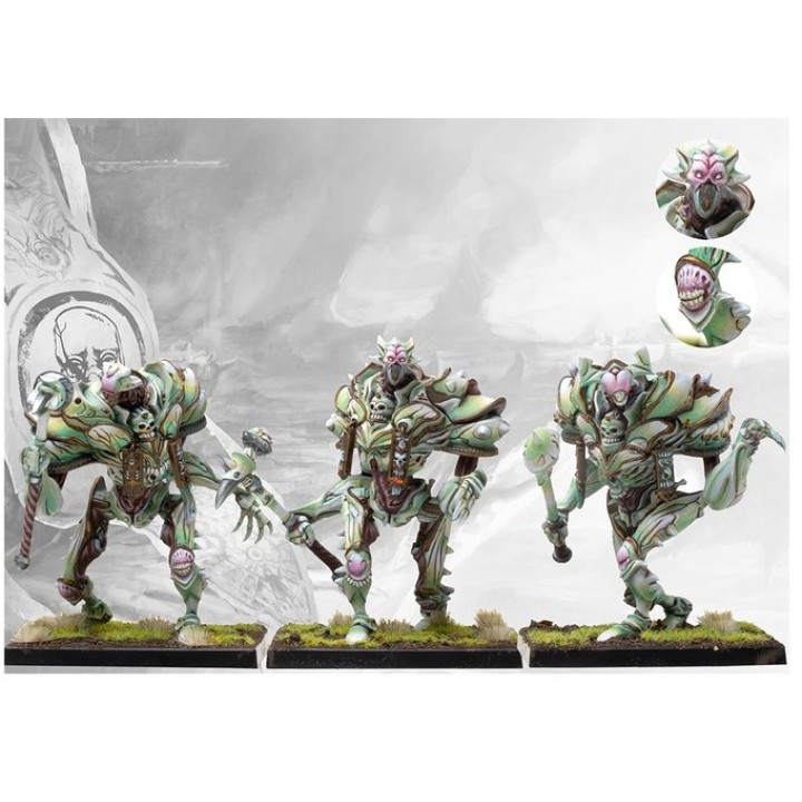 Spires - Incanates sentinels (plastic) | Jeux et Trolleries | Spécialiste des jeux de société, jeux de cartes et wargames