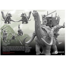 W’adrhŭn: Tontorr version  collector | Jeux et Trolleries | Spécialiste des jeux de société, jeux de cartes et wargames