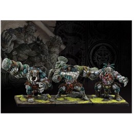 W'adrhun - Warbred | Jeux et Trolleries | Spécialiste des jeux de société, jeux de cartes et wargames