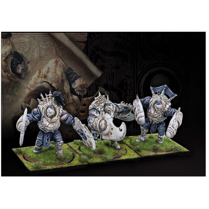 Spires - Brute drones | Jeux et Trolleries | Spécialiste des jeux de société, jeux de cartes et wargames