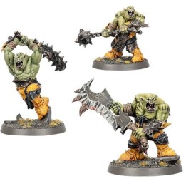 RAGEUX BRUTES IRONJAWZ | Jeux et Trolleries | Spécialiste des jeux de société, jeux de cartes et wargames