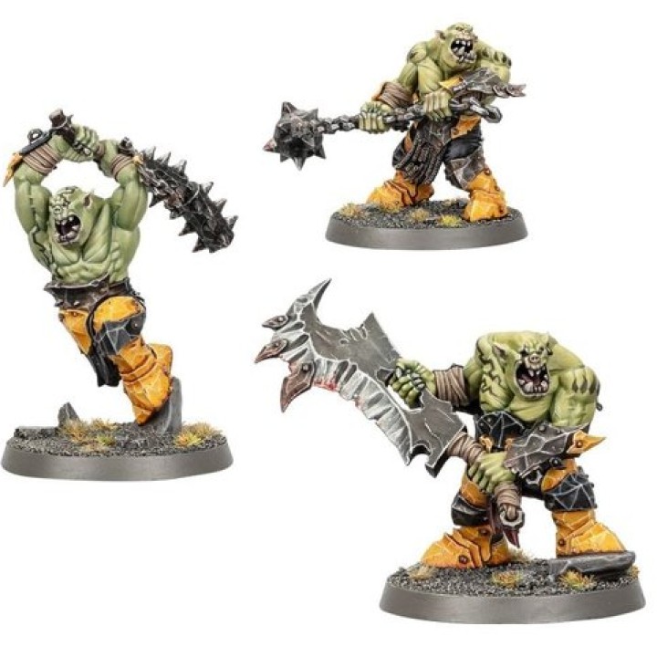 RAGEUX BRUTES IRONJAWZ | Jeux et Trolleries | Spécialiste des jeux de société, jeux de cartes et wargames