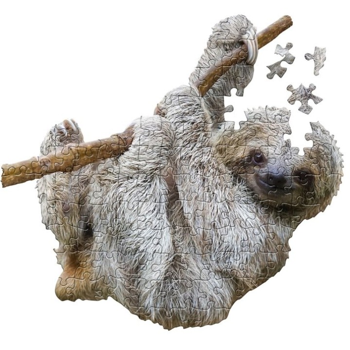 I AM LIL SLOTH | Jeux et Trolleries | Spécialiste des jeux de société, jeux de cartes et wargames