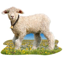 I AM LIL LAMB | Jeux et Trolleries | Spécialiste des jeux de société, jeux de cartes et wargames