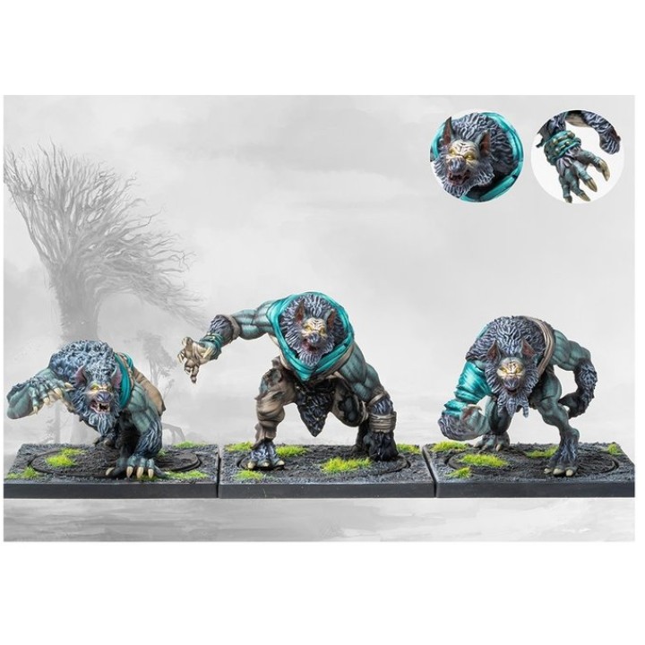Wargs-Garous - Nordiques | Jeux et Trolleries | Spécialiste des jeux de société, jeux de cartes et wargames