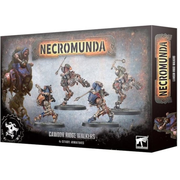 CAWDOR RIDGE WALKERS | Jeux et Trolleries | Spécialiste des jeux de société, jeux de cartes et wargames
