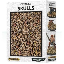 CITADEL SKULLS