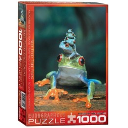 eurographics puzzles red-eyed tree frog | Jeux et Trolleries | Spécialiste des jeux de société, jeux de cartes et wargames