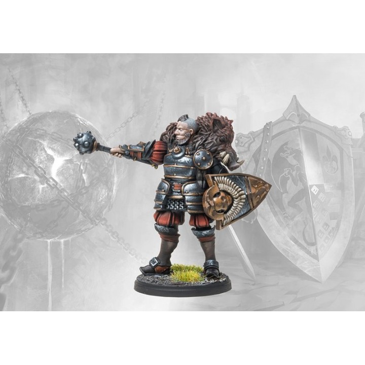 Lore Campaign Pack - Crucible Of Wills: The Stone Face Campaign | Jeux et Trolleries | Spécialiste des jeux de société, jeux de 