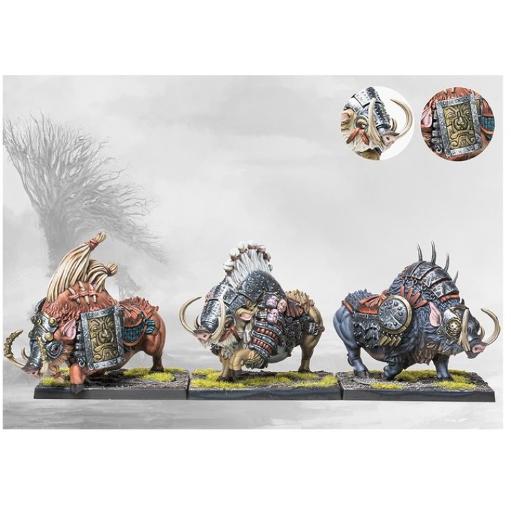 Goltr Beastpack - Nords | Jeux et Trolleries | Spécialiste des jeux de société, jeux de cartes et wargames