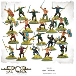 Gaul Warriors SPQR | Jeux et Trolleries | Spécialiste des jeux de société, jeux de cartes et wargames