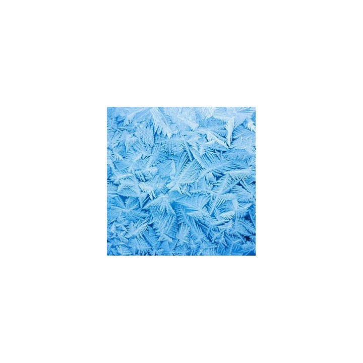 Vallejo - Special FX - Frost