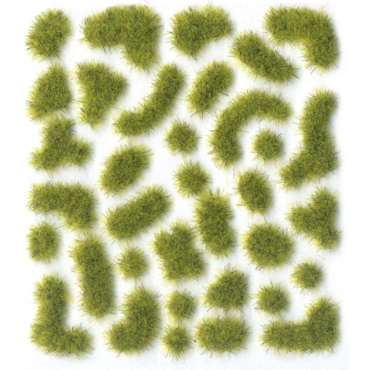 wild moss
