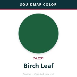 Vallejo Squidmar Color – Birch Leaf (74.231) – 18 ml