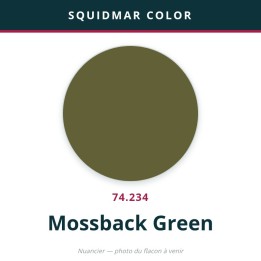 Vallejo Squidmar Color – Mossback Green (74.234) – 18 ml