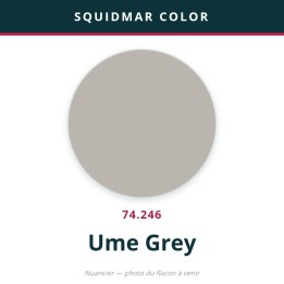 Vallejo Squidmar Color – Ume Grey (74.246) – 18 ml