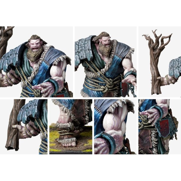 Mountain Jotnar (Nords, Conquest) : photo Para Bellum n° 2