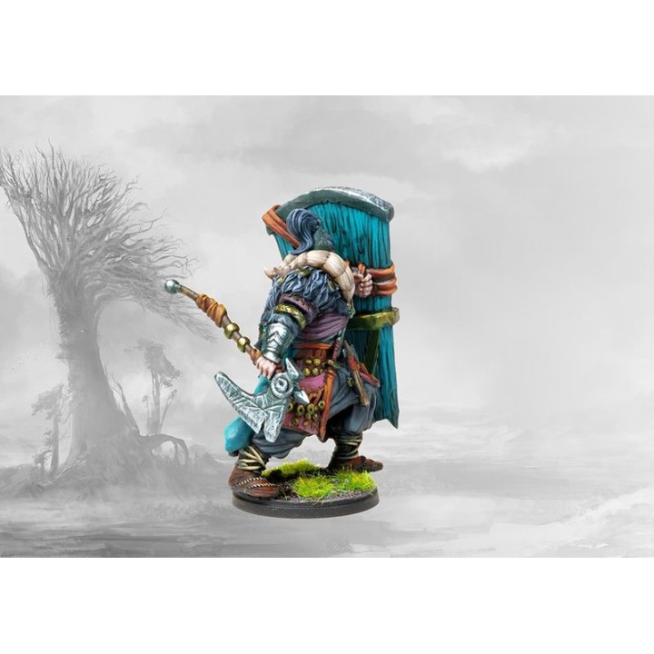 Thegn (Nords, Conquest) : photo Para Bellum n° 3