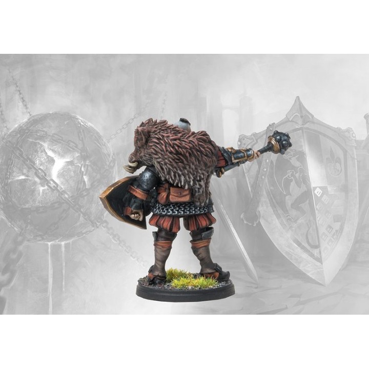 The Stone Face Lore Campaign (Conquest) : photo Para Bellum n° 5