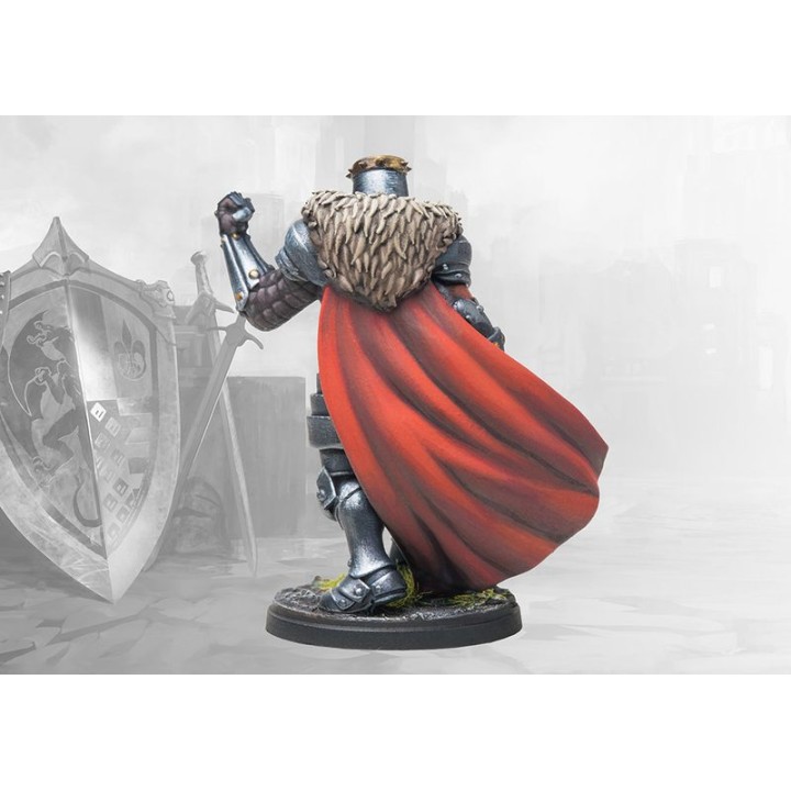 Crusading Noble Lord (Hundred Kingdoms, Conquest) : photo Para Bellum n° 2
