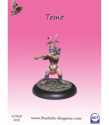 Temo (carte de profil V1)