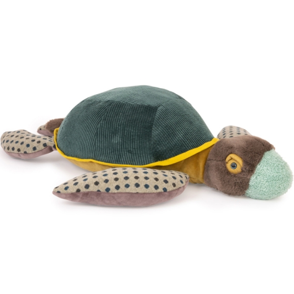 GRANDE TORTUE  TOUT AUTOUR DU MONDE