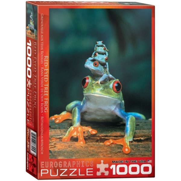 eurographics puzzles red-eyed tree frog