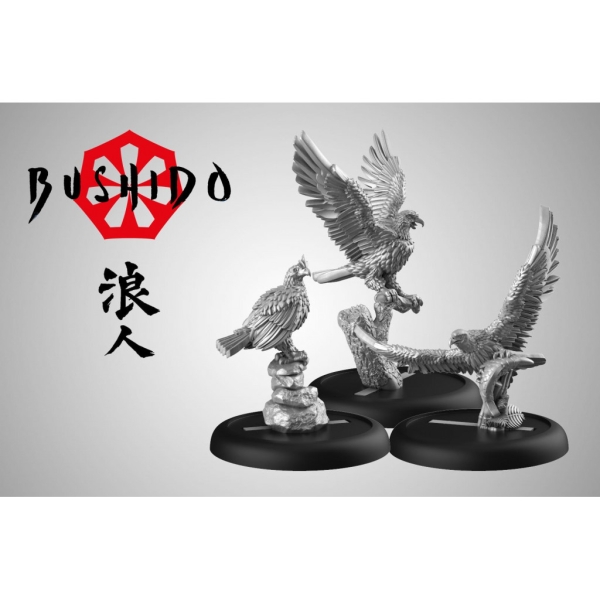 Aigles des iles Jwar