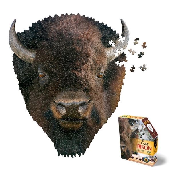 I AM BISON