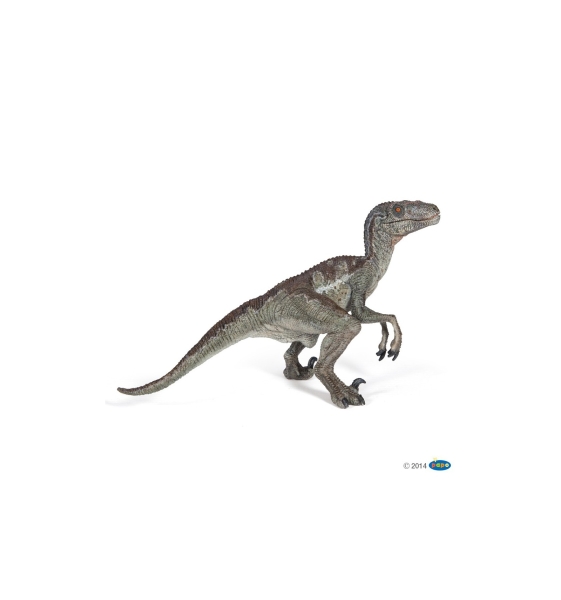 Vélociraptor