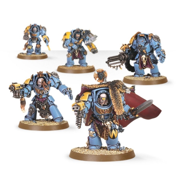 Wolf Guard Terminator 2