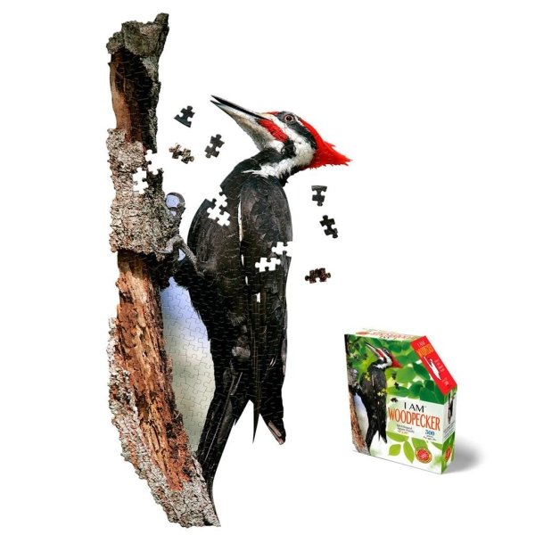 I AM WOODPECKER