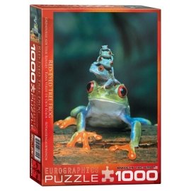 eurographics puzzles red-eyed tree frog