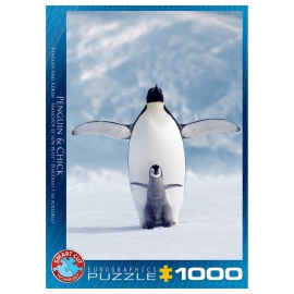 EUROGRAPHICS PUZZLE  PENGUIN CHICK