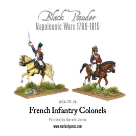 Mounted Napoleonic French Infantry Colonels