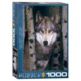 EUROGRAPHICS PUZZLE GRAY WOLF