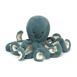 I am Little Strom Octopus