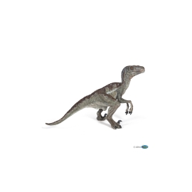 Vélociraptor