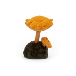 i am a wild nature chanterelle mushroom