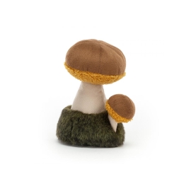 I am a wild Nature boletus mushroom