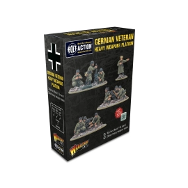 German Veteran Infantry Heavy Weapons Platoon