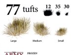 Frozen Tuft