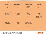 AK11052 - BASIC SKIN TONE – STANDARD