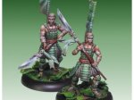 Okyo Ashigaru (carte de profil V1)
